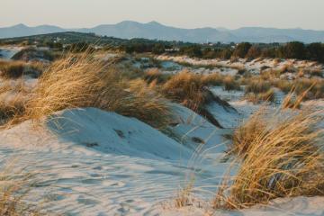 dunes on the beach in Sardinia